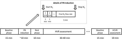 Induction of Day-Time Periodic Breathing is Associated With Augmented Reflex Response From Peripheral Chemoreceptors in Male Patients With Systolic Heart Failure